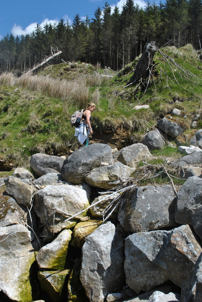 Glenmalure to  Glendalough