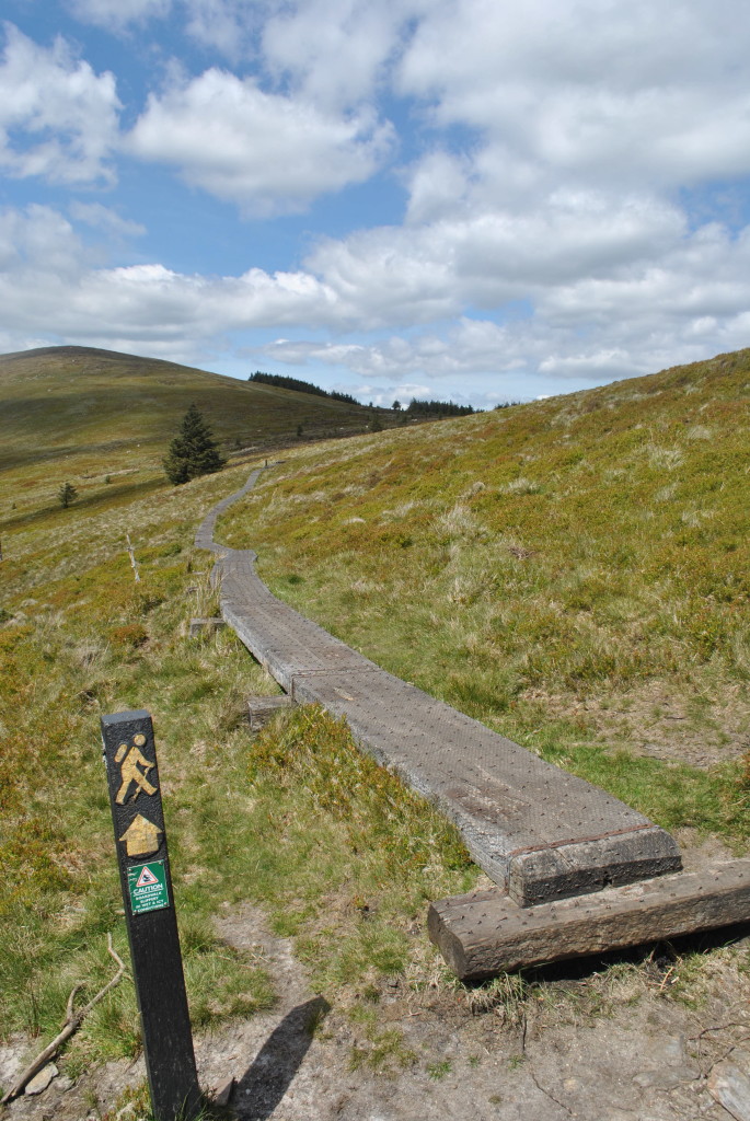 Glenmalure to  Glendalough