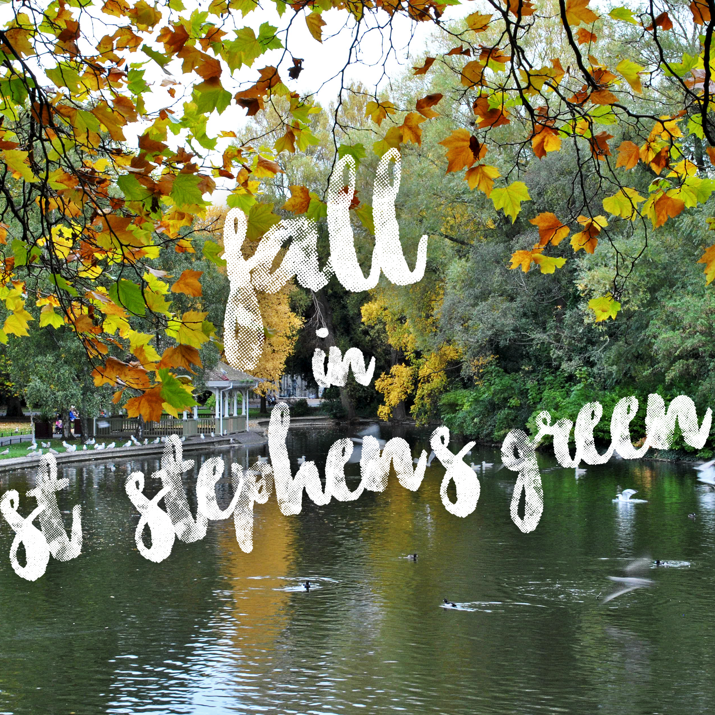 Fall in St. Stephen's Green
