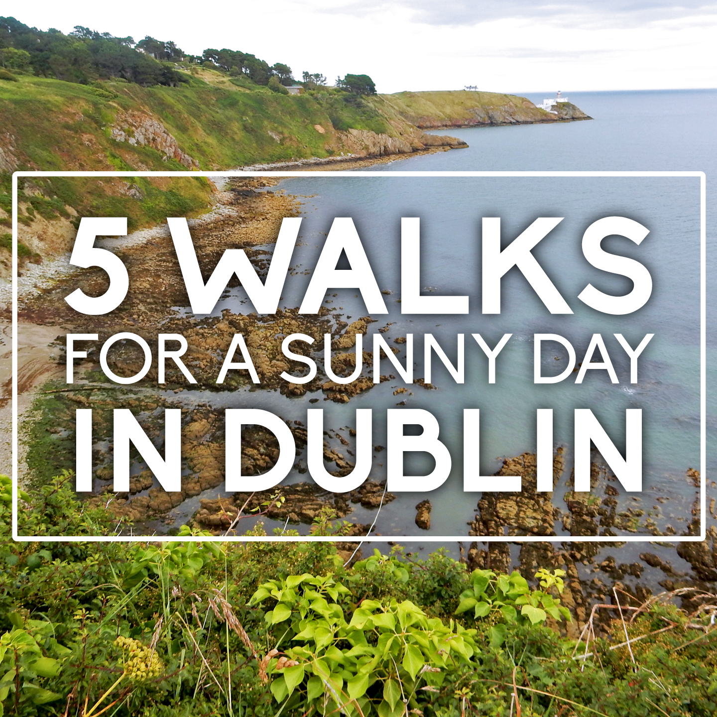 5 Walks for a Sunny Day in Dublin